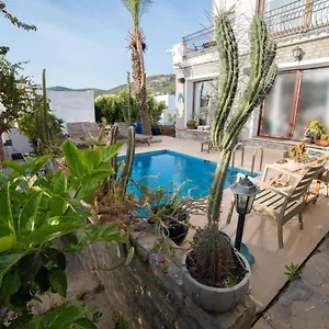 Dolphin Villa
