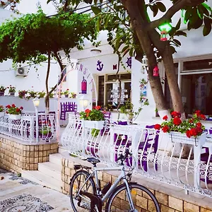 Séjour chez l'habitant Agan, Bodrum